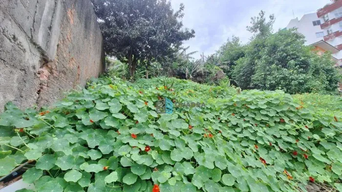 Terreno à venda, 300 m² por R$ 748.000,00 - Trindade - Florianópolis/SC