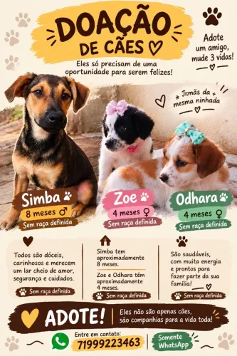 Doação responsável
