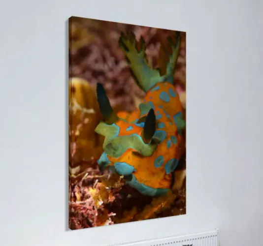 Quadro com Fotografia da Natureza (tamanho 40 x 60cm em tela canvas)