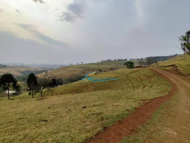 Fazenda à venda, 3872000 m² por R$ 22.000.000,00 - Centro - Ubiratã/PR