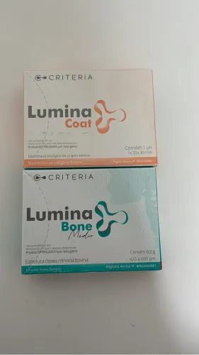Membrana E Osso