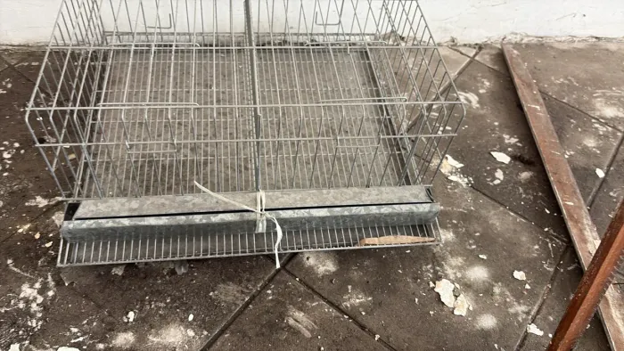 2 Gaiolas para codorna 
