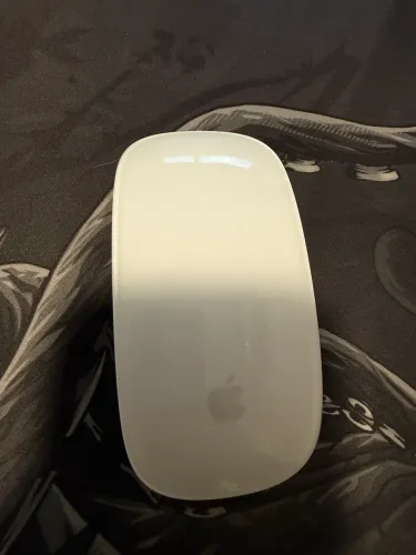 Magic Mouse