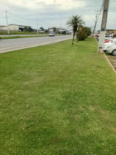 Jardinagem em geral