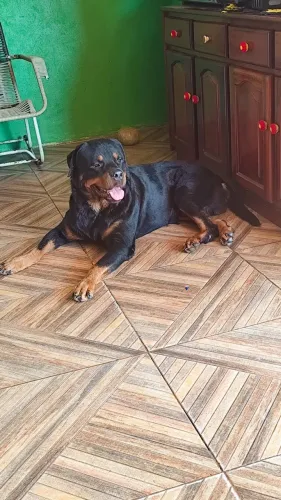 A procura de uma namorada