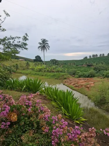 Vendo propriedade c/ aproximadamente 7 alqueires,situada em Santa Clara,Rio Bananal ES.