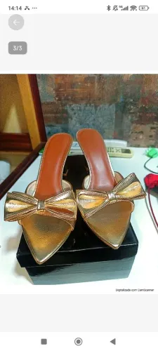 Tamanco Fashion Elegante