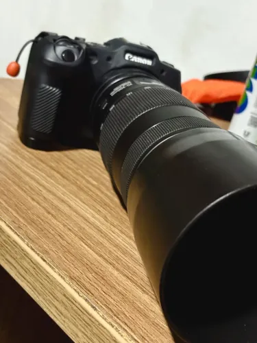 Canon EF 70-300mm f/4-5.6 IS II USM Nano, Com display