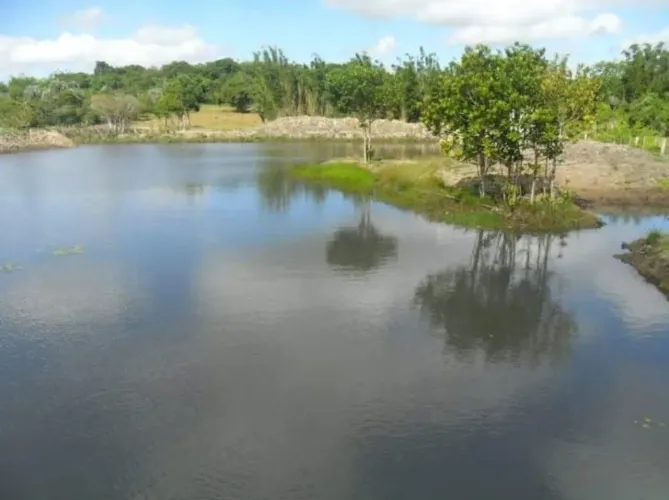 Viamão estrada da pimenta 