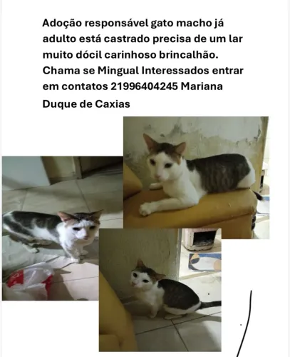 Doação responsável