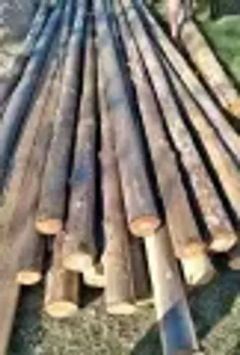 Escorias de eucalipto