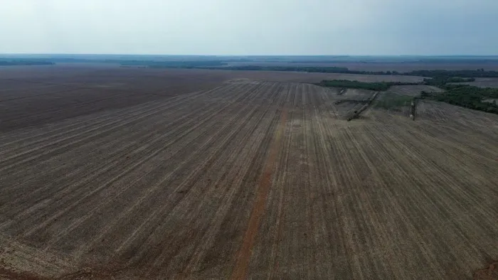 arrenda 4.600ha, e vende 1.500hec Reg Baianos, Xingú MT.