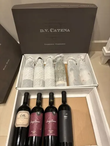 Vinhos Argentinos - Descubra a Essência dos Vinhos Argentinos! (Mais de 40 Rótulos)