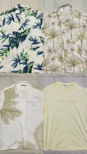 Camisas e camiseta estampadas Calvin Klein