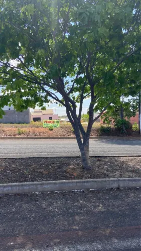 Vendo 4 lotes de 250m2 na avenida Espanha
