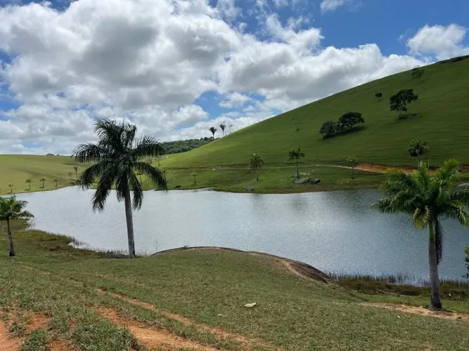 FAZENDA DE 1.750 HECTARES MEGAOPORTUNIDADE PARA INVESTIDORES!