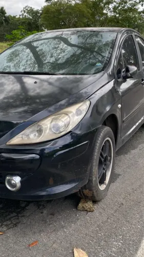 Peugeot 307 Soleil/ Presence 1.6/1.6 Flex 16V 5P 2009