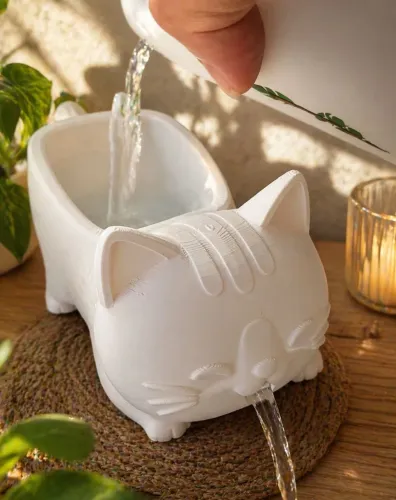 Mini saboneteira drenagem Gato fofo 3d