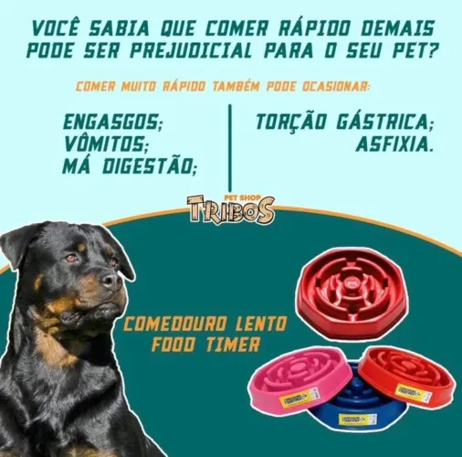Comedouro lento para cães