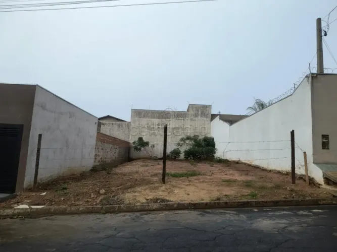 Terreno Padrão em Jaci