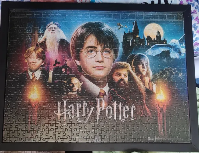 Quadro Harry Potter ( Puzzel 500 pcs Montado )