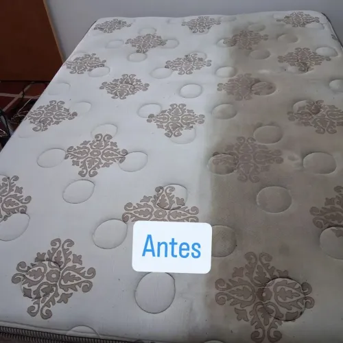 Higienizaçao de colchão