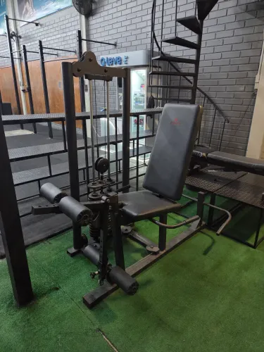 Cadeira Extensora + Flexora - Exercit