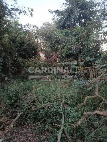 Terreno Padrão em Brotas