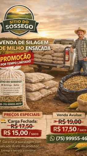 ? SILAGEM DE MILHO PREMIUM: O MELHOR PARA O SEU REBANHO! ?