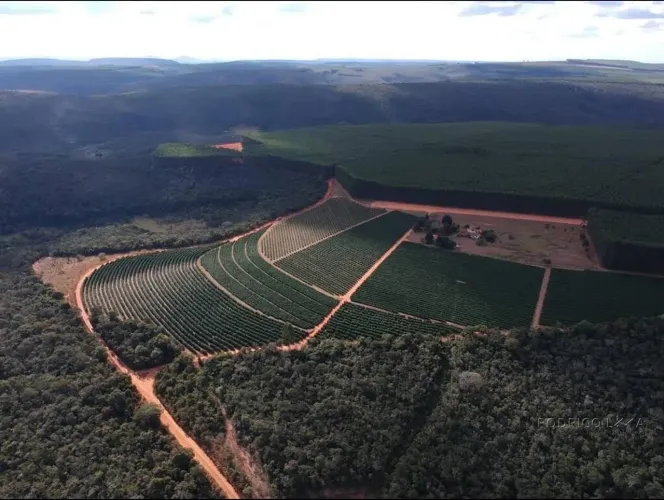 Fazenda para venda em Capelinha MG