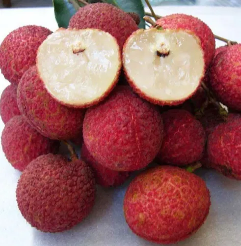 Lichia sem semente (Lichia Salatiel)