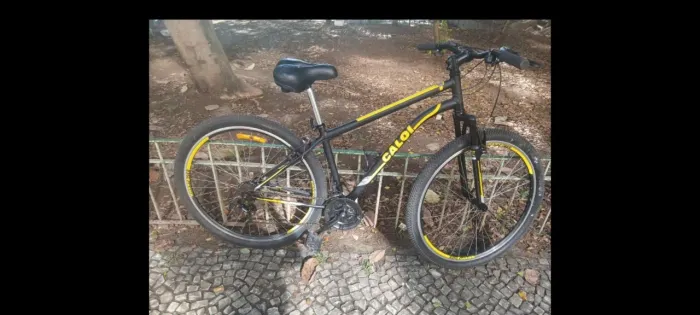 Bike MTB  CALO ARO 29