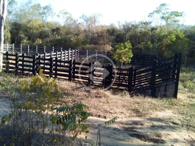 Fazenda na Chapada Diamantina Próximo a Mucugê codigo: 340539