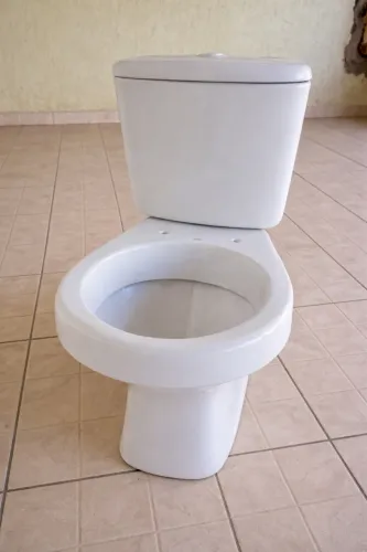Vaso Sanitário com Caixa Acoplada - Na Caixa