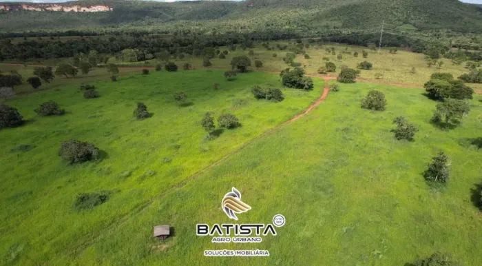 Fazenda 50 Alqueires, 36 km de Palmas