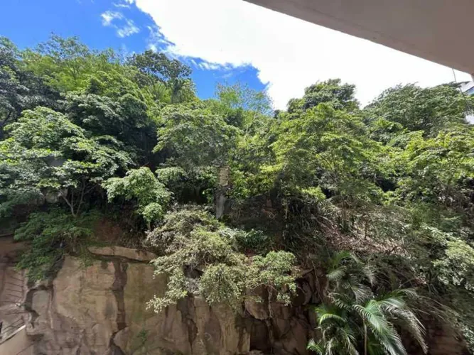 Apartamento : / Residencial / Botafogo