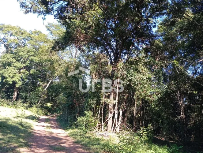 Oportunidade de chacará com mata exuberante