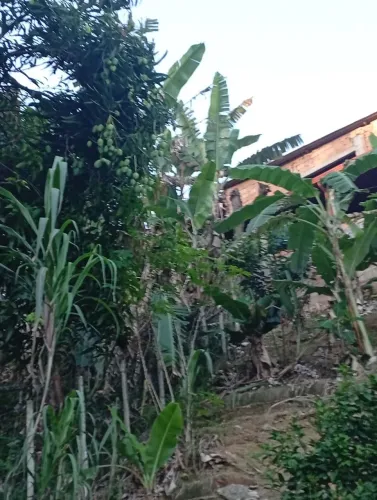 Vendo este terreno com casa