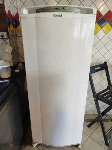 Freezer vertical