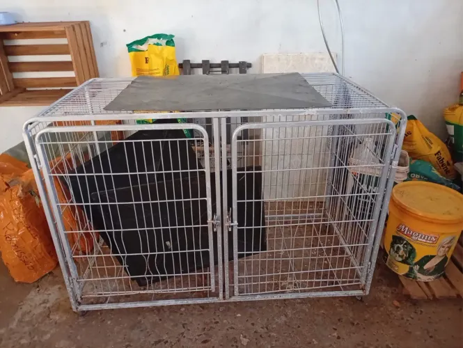 Gaiola Pet padrão