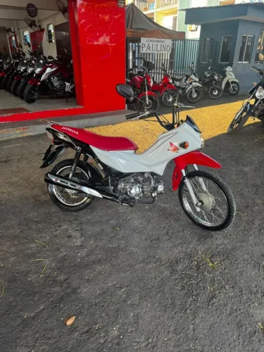 POP 110I 2020/2020