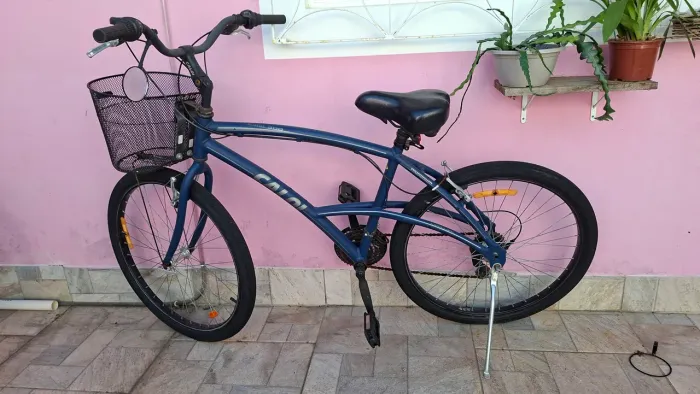Bicicleta caloi 300