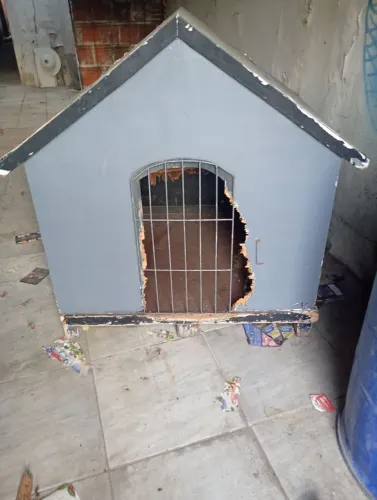 Casa pra cachorro de porte grande