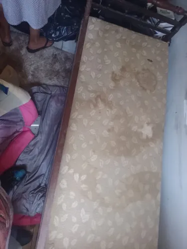 Sofá-cama de antiguidade dos anos 50