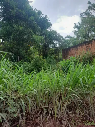 Terreno  documentado 