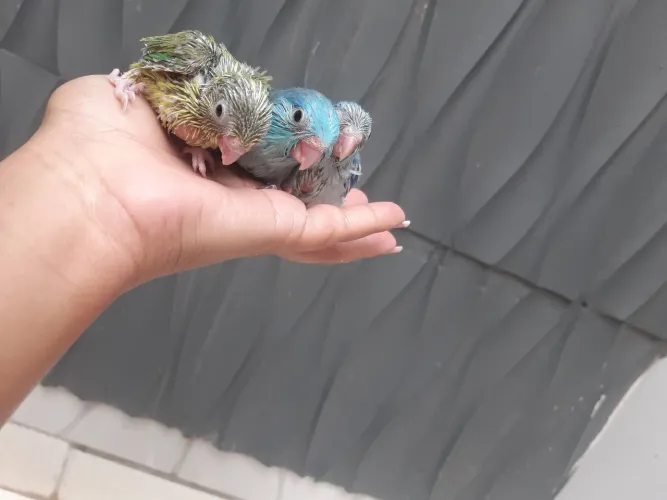 Lindos