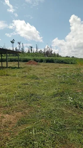 Área pra fazenda