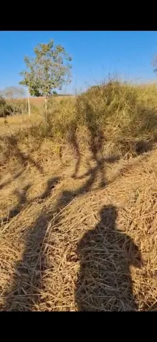 Terreno em Sítio Araçatex - Novo Gama/GO
