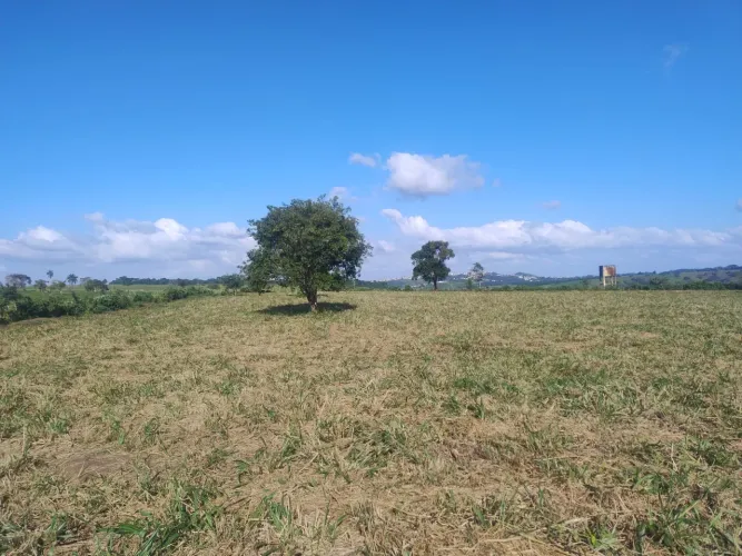 Sitio a venda