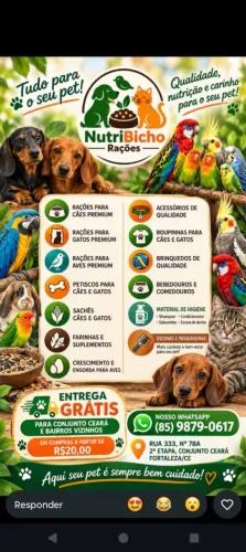 Analisamos contratação freelancer de profissional de banho e tosa